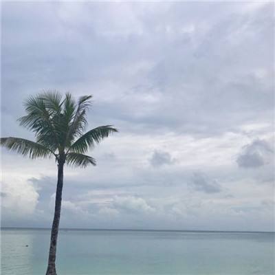 夺宝忍者单机版下载