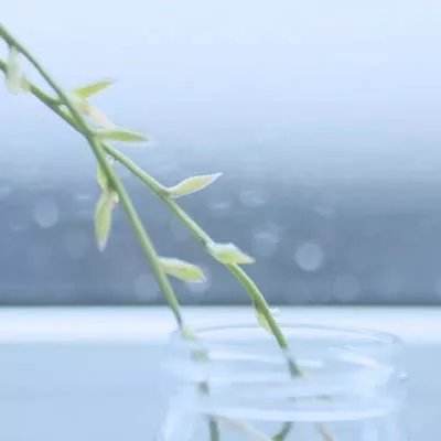 疯狂大派对福利版下载